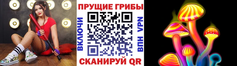 Галлюциногенные грибы Psilocybe  Тайга 