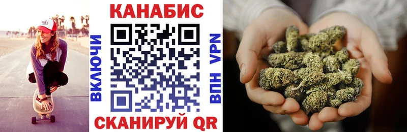 дарнет шоп  Тайга  Бошки марихуана тримм 